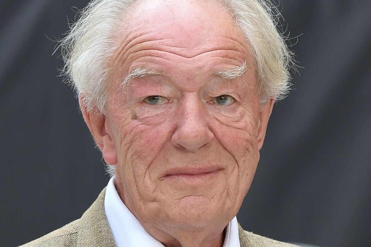 Michael Gambon, ‘Albus Dumbledore’, Harry Potter’s most beloved wizard, has died